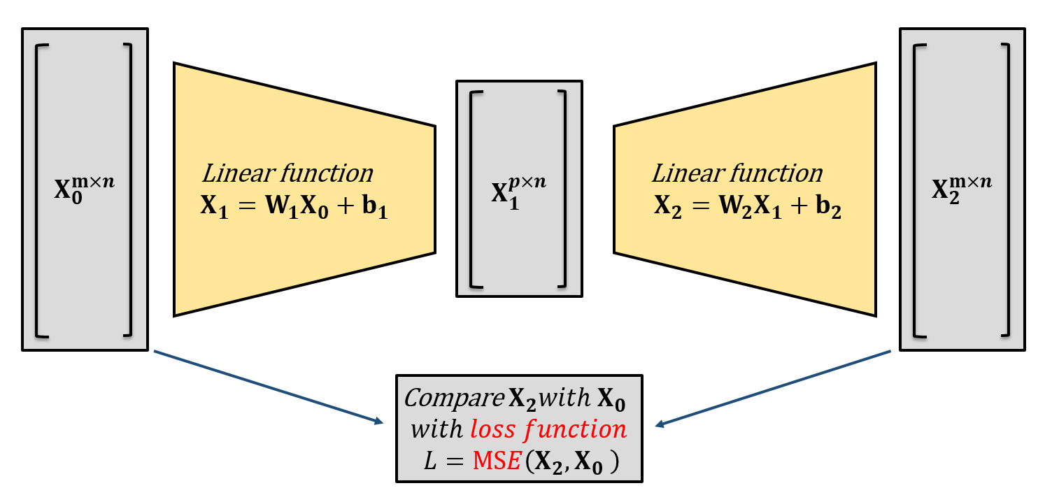 2 layer linear autoencoder